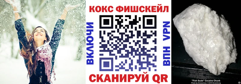 Купить закладки  Покровск  Cocaine 98% 