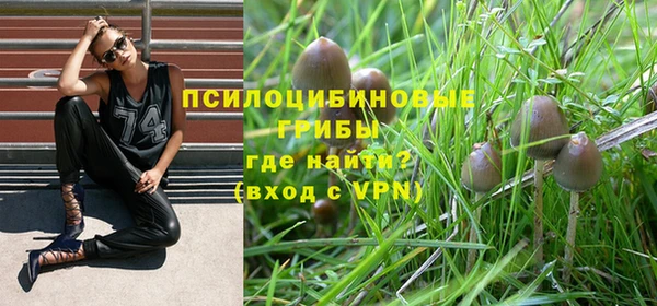 спиды Киреевск