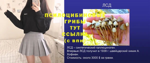 спиды Киреевск